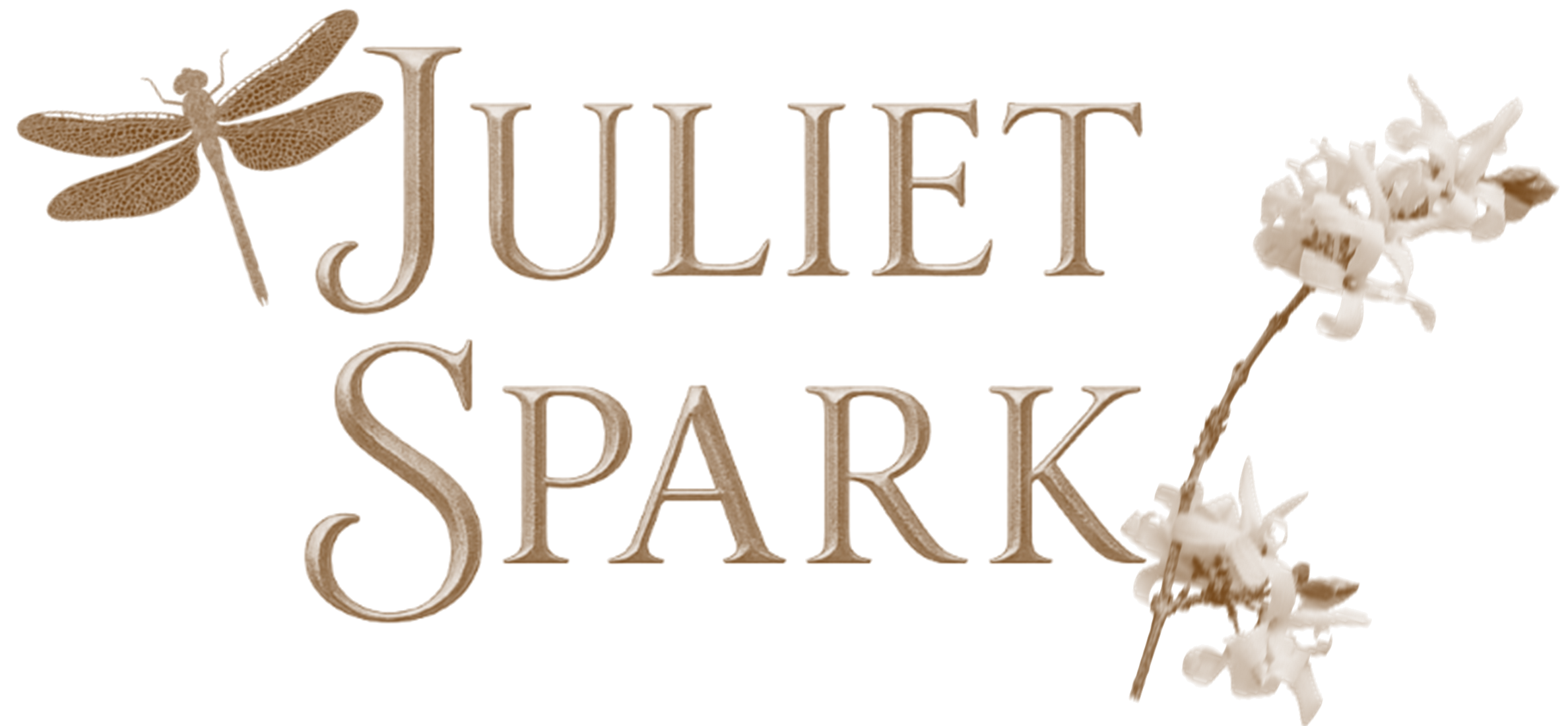 Juliet Spark Author